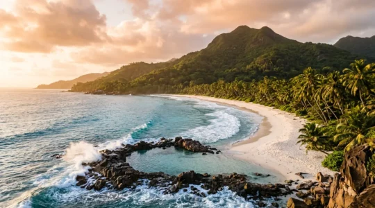 Vue panoramique de la plage de Grande Anse avec ses cocotiers, son sable blanc et le bassin naturel protégé par les rochers basaltiques