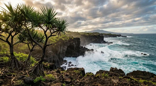 Côte sauvage du Sud de La Réunion avec falaises volcaniques et océan déchaîné