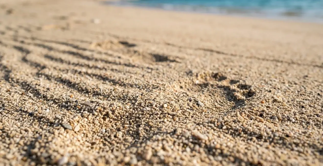 Vue aérienne des différentes plages de la côte ouest de La Réunion avec itinéraires