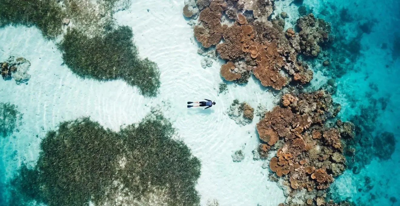 Vue aérienne montrant les différentes zones du fond du lagon avec sable blanc, herbiers et coraux